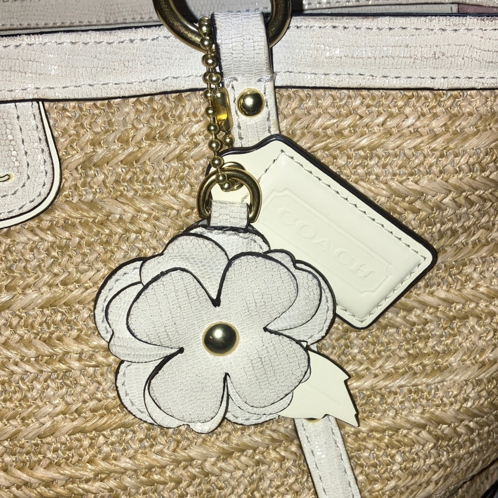 Coach Alexandra Straw python leather trimmed Tote… - image 16